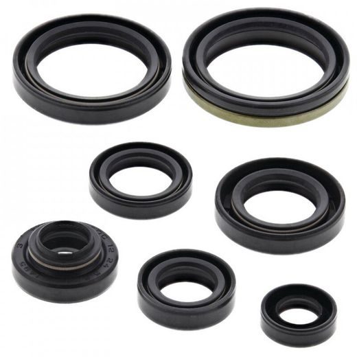 Sada gufier motoru WINDEROSA 822124