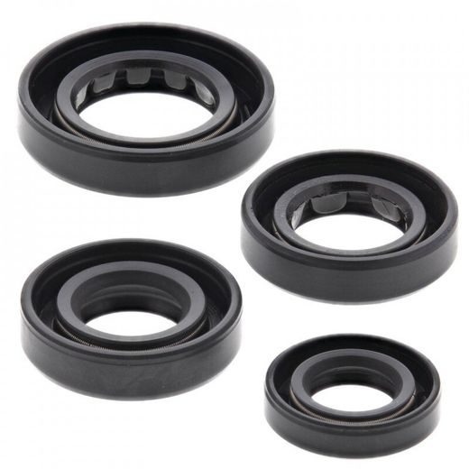 Sada gufier motoru WINDEROSA 822179