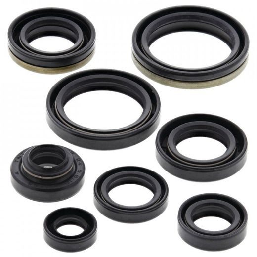 Sada gufier motoru WINDEROSA 822125
