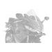 Plexi štít PUIG Z-RACING 22644R červené