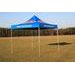Canopy TwinAir 177780 (3x3m)