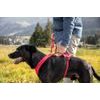 CURLI Postroj pro psy Belka Comfort Red M, 20-30 kg