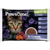 Pawsome! Adult s jehněčím masem Multipack 4x85 g