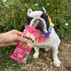 Soopa Pets Dentální tyčinky Soopa Jahodové Dog-Quiri 100 g