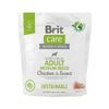 BRIT Care Dog Sustainable Adult Medium Breed 1 kg