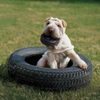 KONG Hračka guma Extreme Tires M/L
