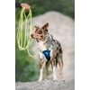 Woolly Wolf Alpha 360 Harness