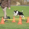 Trixie Dog Activity agility překážky (3 ks) 23 x 30 cm/78 cm oranž/žlutá