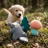 AFP Little Buddy Lesní říše