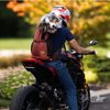 K9 sports sack Knavigate batoh pro psa do 23 kg
