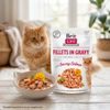 Brit Care Cat Fillets in Gravy with Savory Salmon 85g