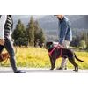 CURLI Postroj pro psy Belka Comfort Red M, 20-30 kg