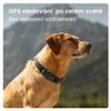 Tractive GPS DOG 4 sledování polohy a aktivity pro psy