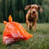 EXPLORER DOG Sáčky na psí hovínka