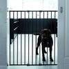 DogSpace Charlie extra vysoká prodlužovací brána 62-107cm šroubovací kovová černá