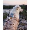 Woolly Wolf Alpha 360 Harness