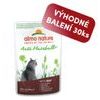 Almo Nature Holistic Anti Hairball s hovězím 70g výhodné balení 30ks