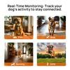 Patpet Bezdrátový ohradník a výcvikový obojek pro psy T800 Pro