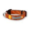 Woolly Wolf Roam Collar