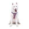 Woolly Wolf Alpha 360 Harness
