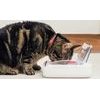 SureFlap SureFeed Pet Bowl miska na čip
