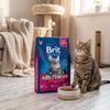 BRIT Premium Cat Adult Chicken 800g