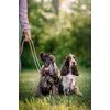 Woolly Wolf Color Block Martingale Collar