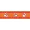 Red Dingo Obojek 12 mm x 20-32 cm Desert Paws Orange
