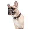 FUNKY DOG BROWN hnědý Piñatex obojek S 2,5 cm x 30-36 cm