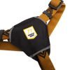 Woolly Wolf Sea To Summit Harness