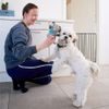 DogSpace Lucky prodlužovací brána kovová