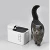 Petkit Eversweet MAX