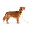 Woolly Wolf Rope Leash