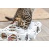 Trixie Cat Activity Paws'n'Treats Box interaktivní hra pro kočky