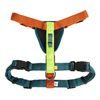Woolly Wolf Color Block Harness