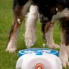 CoolPets vodní fontána Splash
