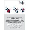 CURLI Postroj pro psy Belka Comfort Red M, 20-30 kg