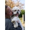DogSpace Lucky prodlužovací brána kovová