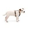 Woolly Wolf Nightless Night Harness