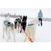 ManMat postroj SLED