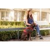 CURLI Postroj pro psy Belka Comfort Red M, 20-30 kg