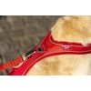CURLI Postroj pro psy Belka Comfort Red M, 20-30 kg