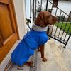 FUNKY DOG Pláštenka pro psa Modrá
