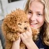 DogSpace Max L prostorová zábrana kovová černá