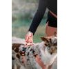 Woolly Wolf Roam Harness