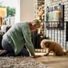 DogSpace Max L prostorová zábrana kovová černá