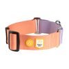 Woolly Wolf Color Block Martingale Collar