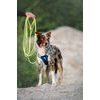 Woolly Wolf Alpha 360 Harness