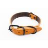 BafPet Kožený obojek ARGUS černé kování oranžová