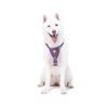 Woolly Wolf Northern Lights Harness